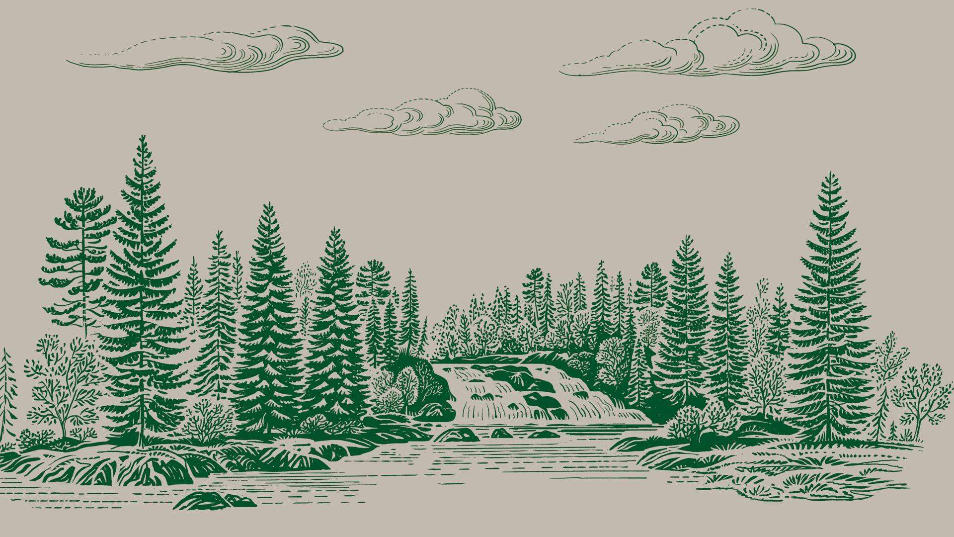 Isa Background